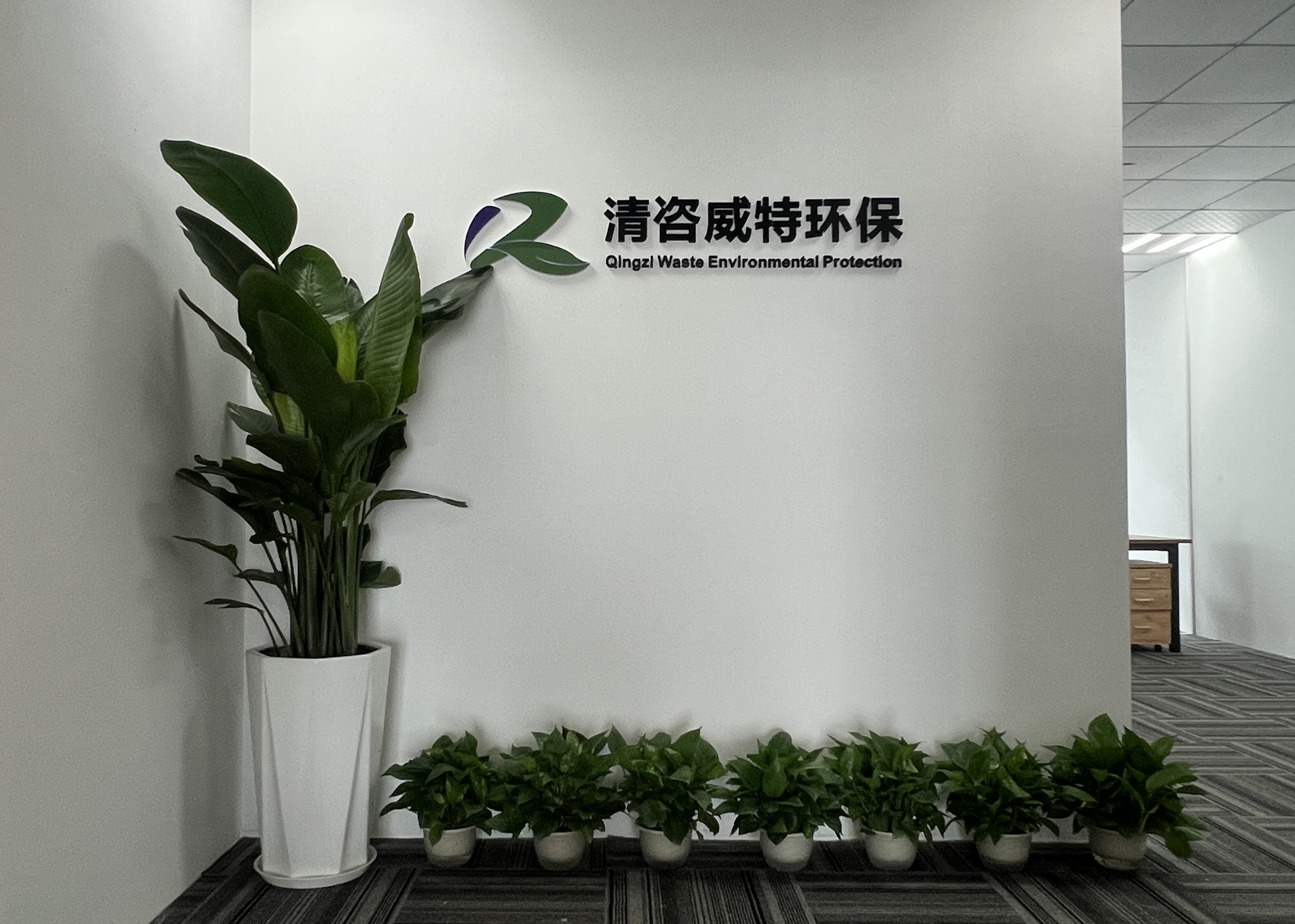 图片展示